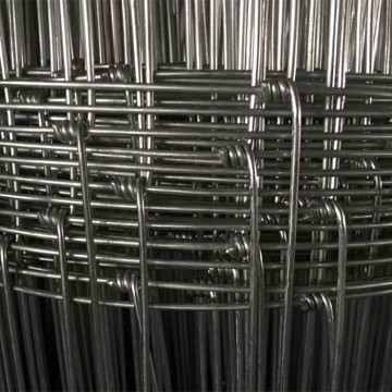 Recinto di recinto di filo metallico zincato a caldo