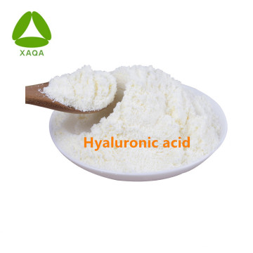 Cosmetic Hyaluronic Acid Sodium Hyaluronate Powder 9004-61-9