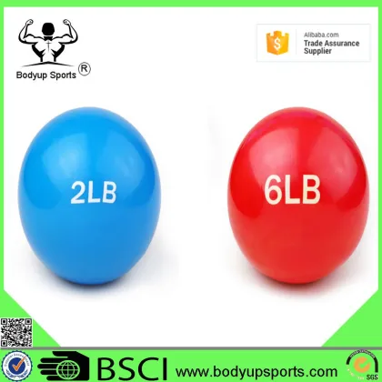 Toning ball-weighted soft pilates ball-Stott Pilates Toning Ball