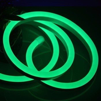 Custom led neon flex party light