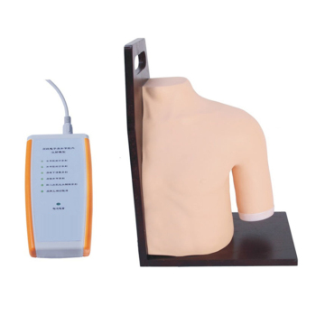 SC-CK20133 MANIKIN MANIKIN MANIKIN POUR LES JOINTES DE L'APPALIT