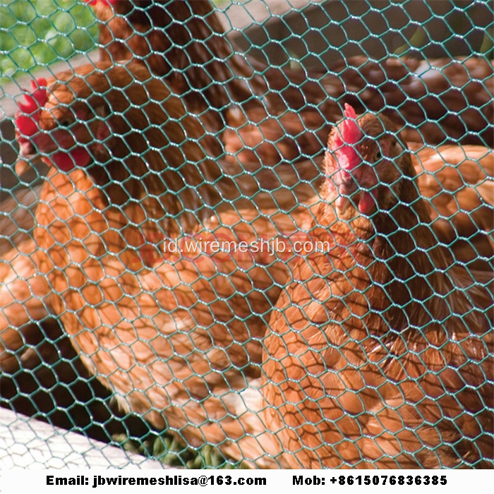 Rumah Kandang Ayam Hexagonal Mesh