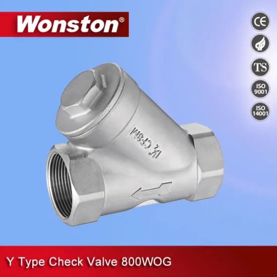 Stainless Steel Y Type Check Valve with 800wog