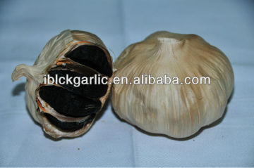 2016 new royal black garlic