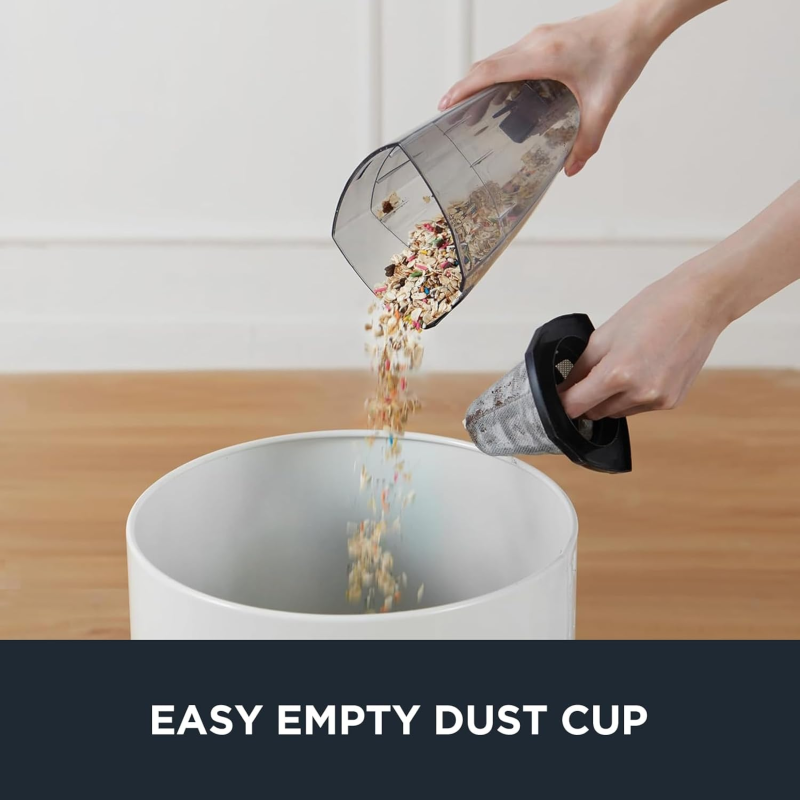 multifunctional vacuum cleaner