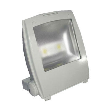 Outdoor IP65 LED Floodlight