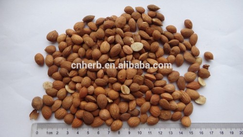 Peach seed/peach kernel taoren