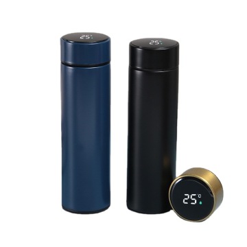 Smart 500ml Double-Walled Vacuum Insulated Stainless Steel Water Bottle with LED Temperature Display