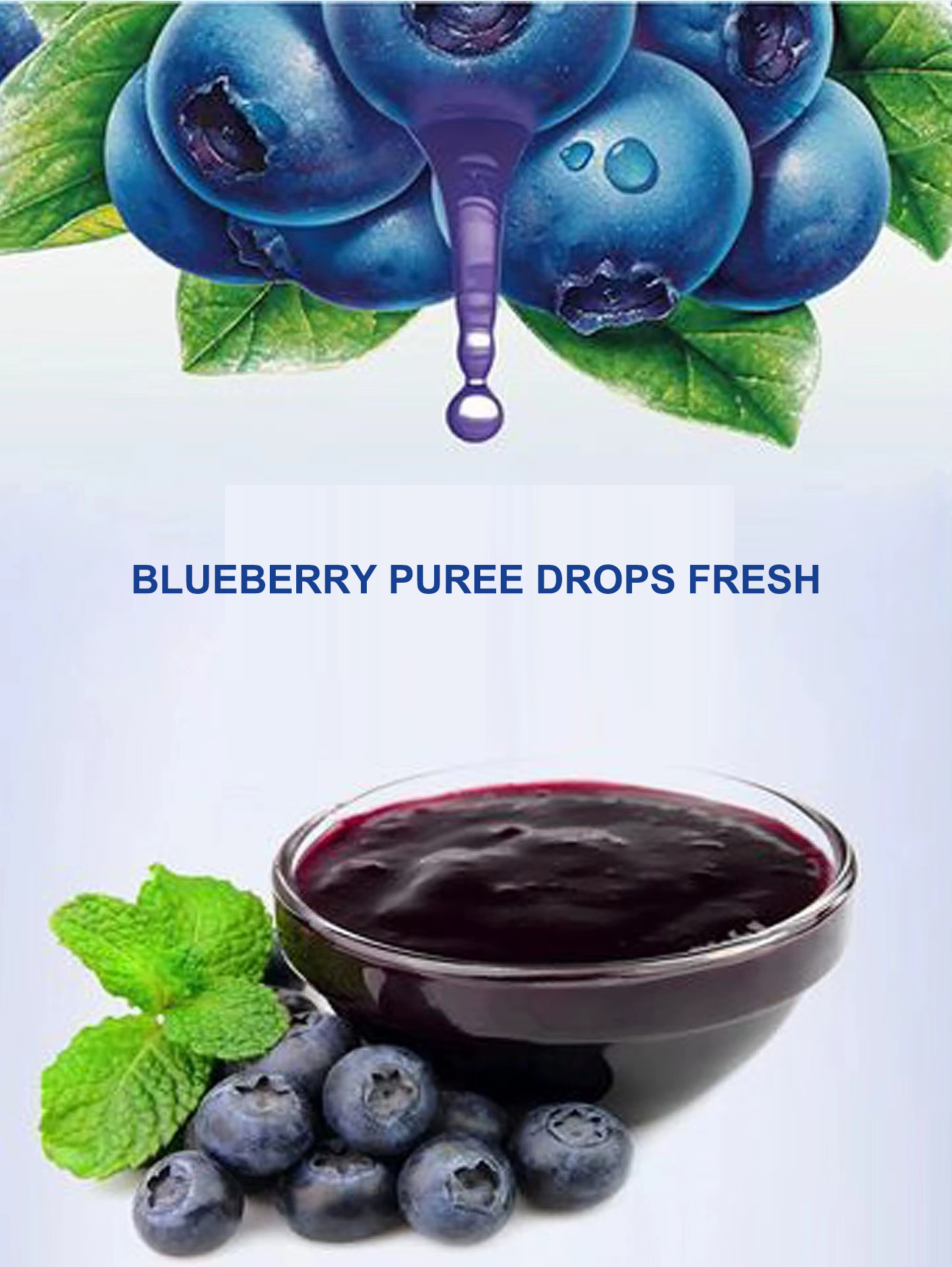 OEM/ODM Pure Natural Skin Care Anthocyanin Immune Support Blueberry Protoplasmic Blueberry protoplasmic oral liquid