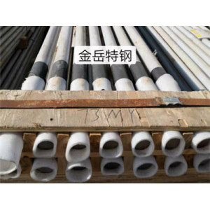 Grade 8.8 high tensile wind power anchor bolt