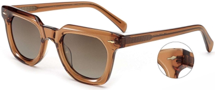 C2 Acetate Sunglasses Transparent Brown