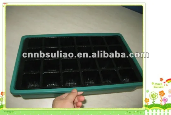 plastic plant cells