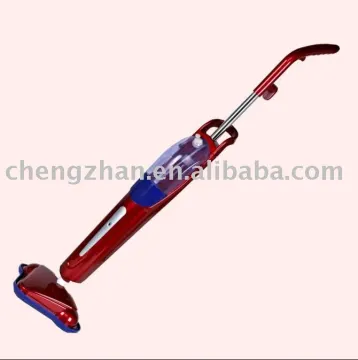 house using steam mop