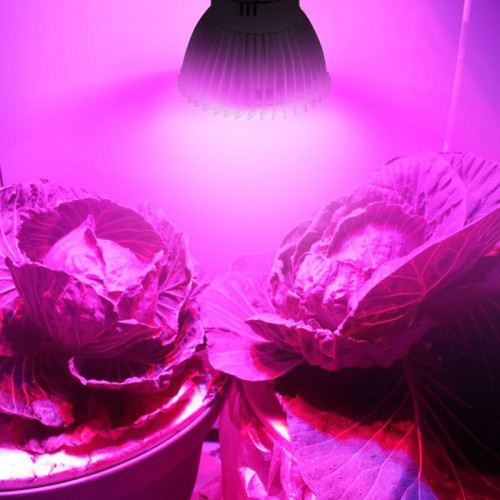 28W Grow Bulb Light Red Blue Lighting