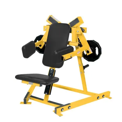 Hammer Strength Lateral Raise Machine