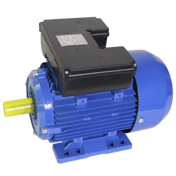 AC Single Phase Induction Motor