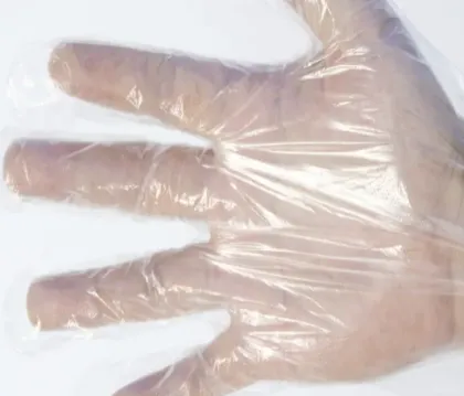Multipurpose Disposable Plastic Gloves