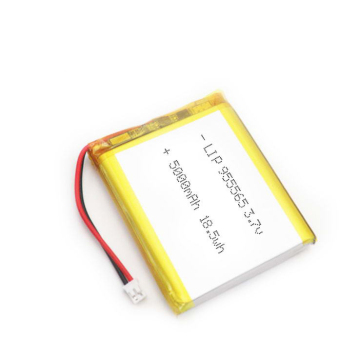 Big Battery 955565 - 5000mAh Power Bank LiPo Battery 3.7V Rechargeable Lithium Ion