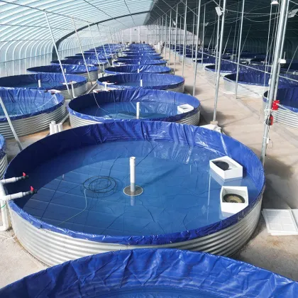 Plastic Tank Equipment for Fish and Shrimp RAS Farming Systems