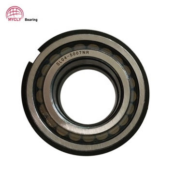 SL04-5014 Double Row Full Complement Cylindrical Roller Bearing