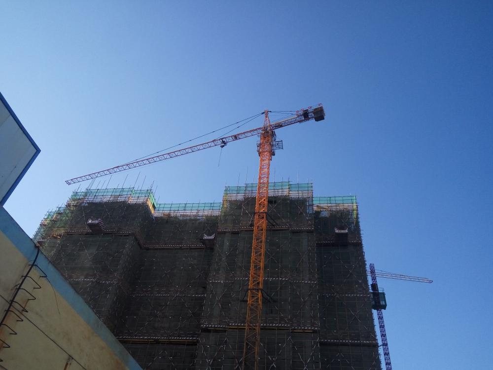 6t TC bien conocido grúa de la torre de la maquinaria de construcción de Dubai