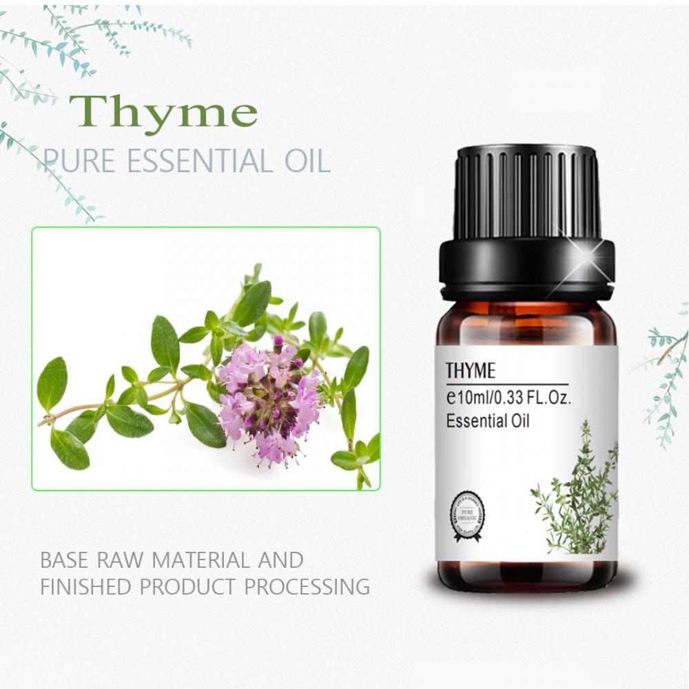 Good Price massage thyme essential oil Bulk Enhance Immunity