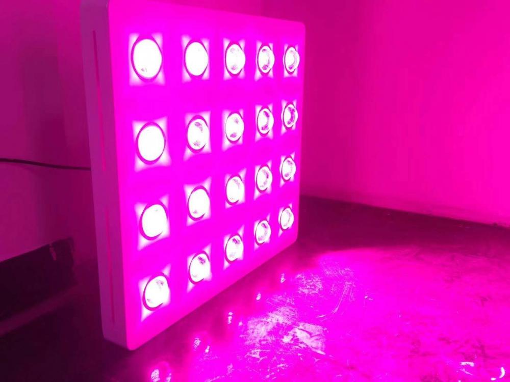 Grow led mini garden 4000w grow light