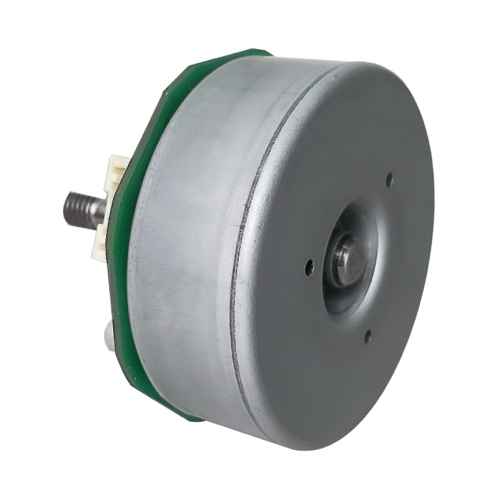 MAINTEX BL6208-01 24V BLDC Motor