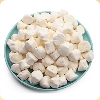 Bulk Cargo of Freeze-Dried Scallops: Premium Cat Snacks and Seafood for Kitten and Cat Food