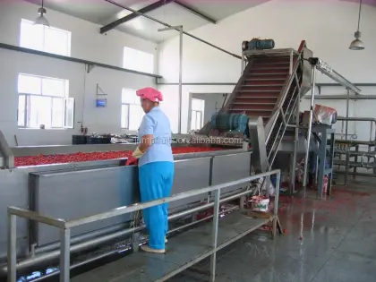 Automatic cranberry processing line