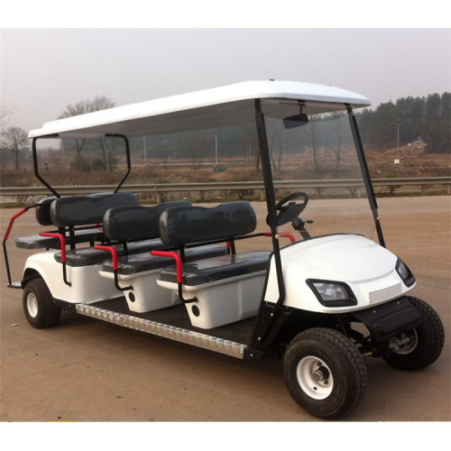 Gasoline Golf cart sightseeing cars/bus