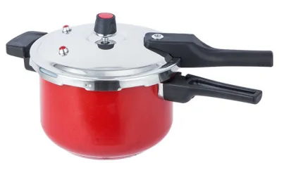 Stainless Steel Pressure Cooker Search Engine