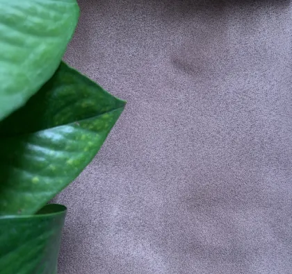 2019 Dimout Window Curtains Fabric