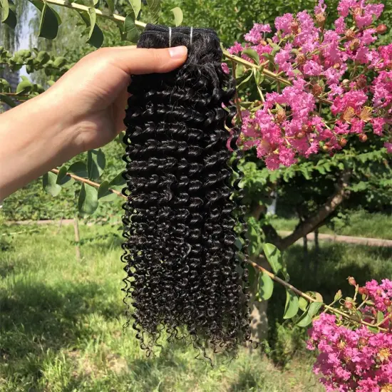 Brazilian Kinky Curly Virgin Hair Bundles Manufacture Wholesale  Virgin Human Hair Unprocessed  Human Hair Bundle