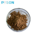 Pueraria Root Extract powder