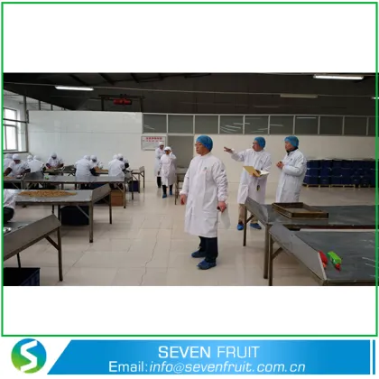 Wholesale Dried Fruit And Nuts Walnut Meat