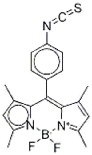 BODIPY ISOTHIOCYANATE CAS 1349031-04-4