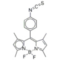 ISOTHIOCYANATE BODIPY CAS 1349031-04-4