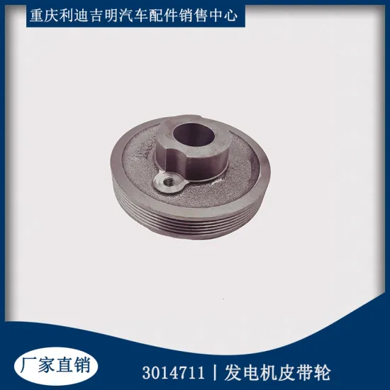 enuine Cummins KTA19 Idler Pulley 3002331
