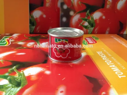 70G China Factory Hot Sell Nature Canned Tomato Paste