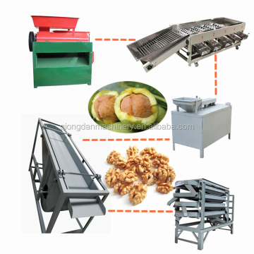 American Walnut Processing Line with 1000kg/h Capacity: Shelling and Cracking Machine