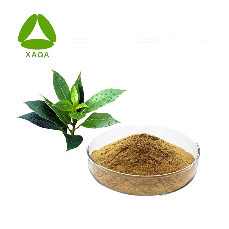 Extracto de hoja de olivo 20% HydroxyTyRosol Powder CAS 10597-60-1