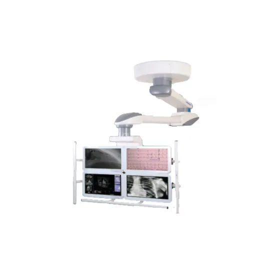 Multi screen medical pendant