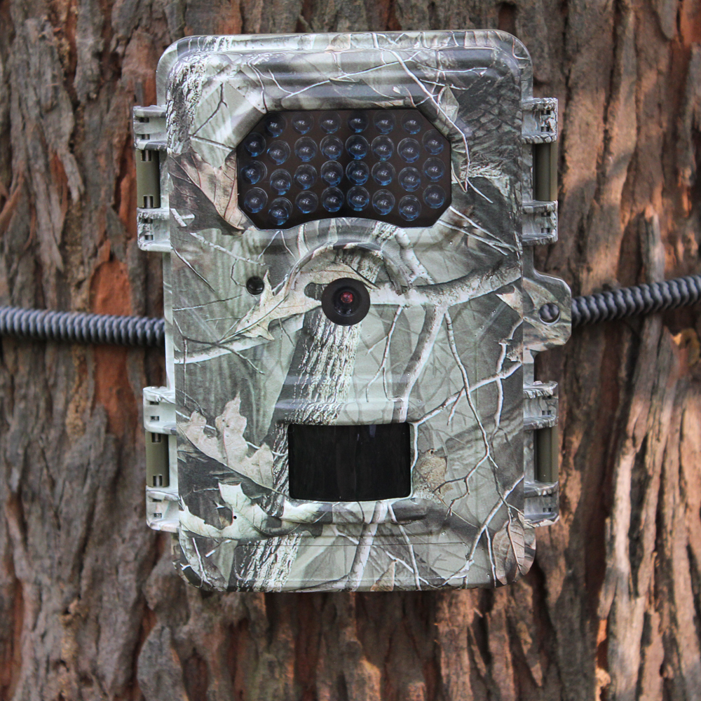 bg-526 trail camera