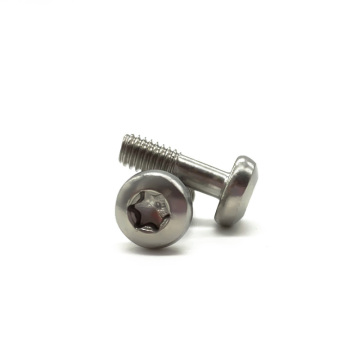 samll size pan head torx recess machine screw