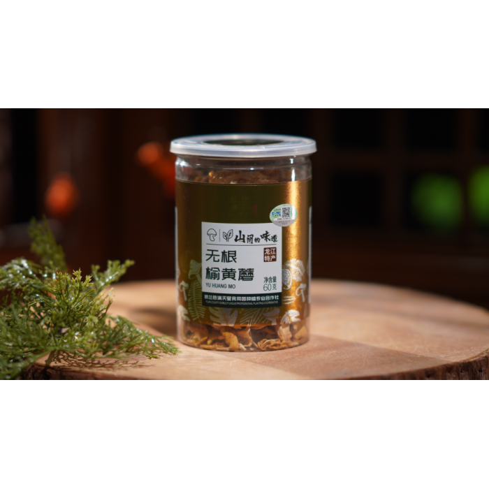 60g de cogumelos amarelos de olmo