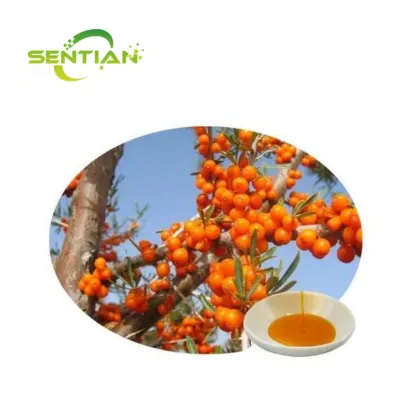 Sea Buckthorn Powder, Seabuckthorn Extract Sea Buckthorn Oil