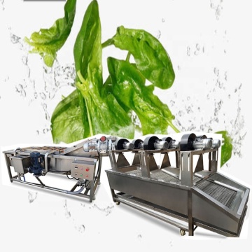 Tomato and Strawberry Cleaning Machine - Vegetable Washer Fruit Washing Machine