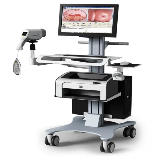 Video Digital Colposcopy Imaging System: A Comprehensive Solution for Female Vaginal Tests and Examination