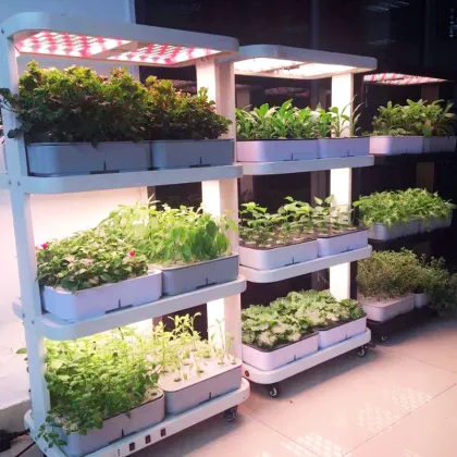 Sun Greenhouse Vertical Plant Hydroponic Grow Systems with LED Lights